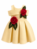 Rose Off-Shoulder Party Frock