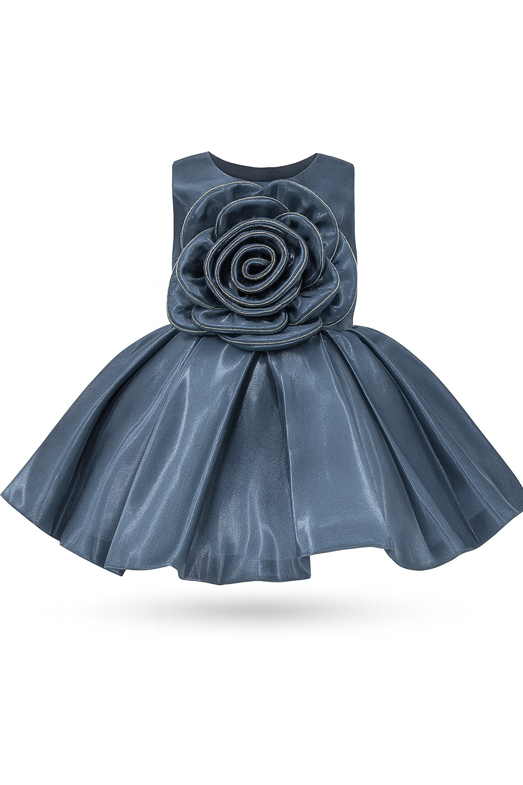 Blue Rose Party Frock