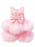 Soft Pink Floral Tulle Frock