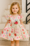 Rosy Bloom Party Frock