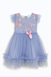 Lavender Garden Embroidered Tulle Frock