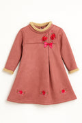 Baby Girl Winter Rose Embroidered Frock