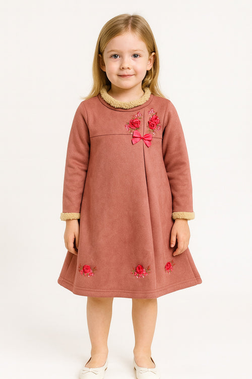 Baby Girl Winter Rose Embroidered Frock