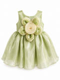 Mint Blossom Designer Party Frock